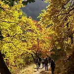 فندق مبيت وإفطار Sant'elia