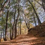 فندق مبيت وإفطار Sant'elia