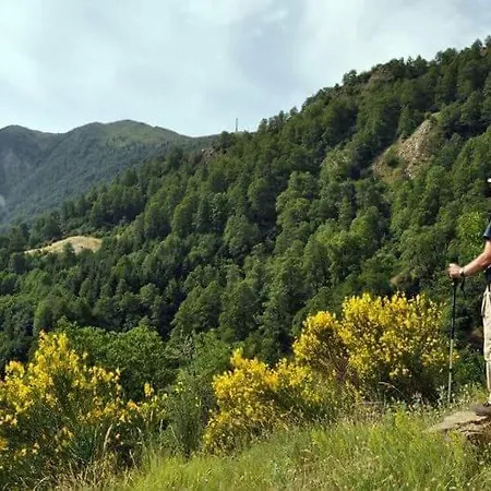 Sant'elia 4*
