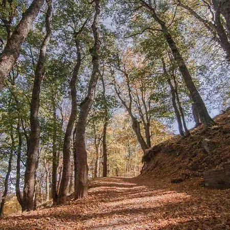 Bed & Breakfast Sant'elia